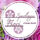 SPERLINGA FIORI - FIORI A DOMICILIO PALERMO Vivaio in Palermo