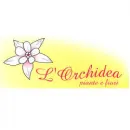ORCHIDEA AGENZIA FUNEBRE FIORI E PIANTE Shopping e acquisti in Carlentini SR