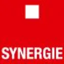 SYNERGIE Servizi professionali in Moncalieri TO