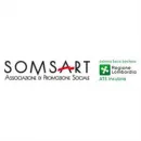 SOMSART Salute in Comerio VA