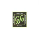 GFO Strumenti musicali in Filottrano AN