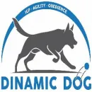 SCUOLA ADDESTRAMENTO CANI CENTRO CINOFILO DINAMIC DOG A.S.D. Shopping e acquisti in Ardea RM