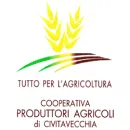 COOPERATIVA PRODUTTORI AGRICOLI DI CIVITAVECCHIA S.R.L. Shopping e acquisti in Civitavecchia RM