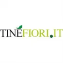 TINÈ FIORI SIRACUSA Shopping e acquisti in Siracusa