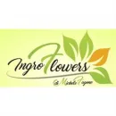 INGROFLOWERS INGROSSO PIANTE E FIORI DI MICHELE FAGONE Vivaio in Catania