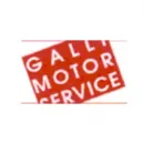GALLI MOTOR SERVICE Veicoli in Arcisate VA