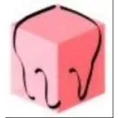 LORD SAS LABORATORIO ODONTOTECNICO Salute in Milano