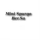 MINI SPURGO BER.SA. Servizi professionali in Modena