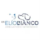 AMBULATORIO VETERINARIO DOTT. BIANCO ELIO Veterinario in Olgiate Comasco