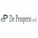 DE PROSPERIS SRL Shopping e acquisti in Lido Di Ostia RM