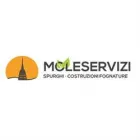MOLE SERVIZI