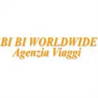 BI BI WORLDWIDE