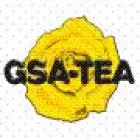 GSA - TEA SRL