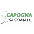CAPOGNA SAGOMATI S.R.L.