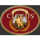 CICCUS SRL