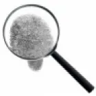 ATLANTICA INVESTIGAZIONI
