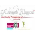 LIONI CENTER PROFESSIONAL SRL