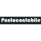 PUNTOCONTABILE SNC DI DE STEFANIS SIMONA & C.