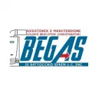 BEGAS