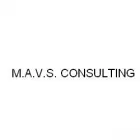 M.A.V.S. CONSULTING